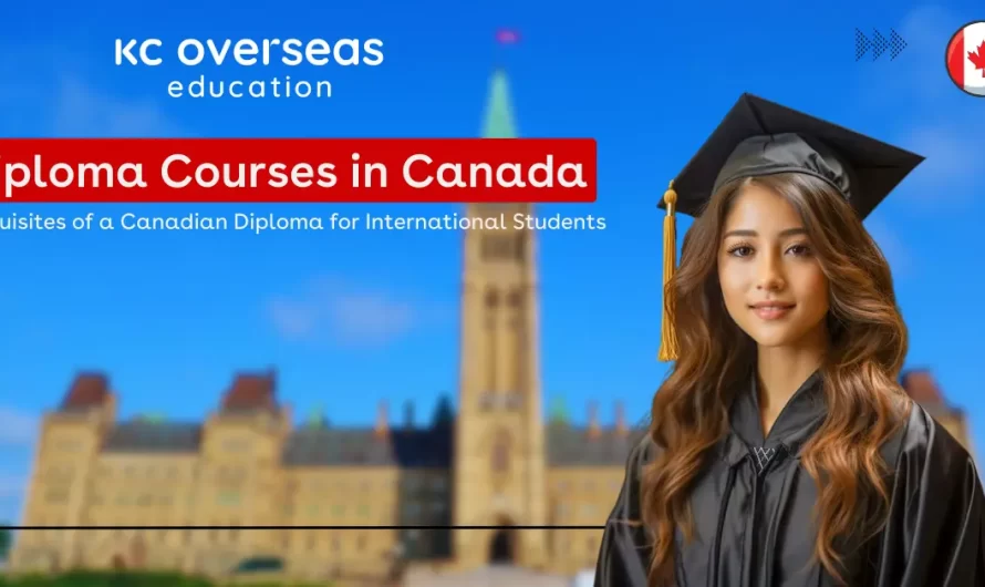 Diploma Courses in Canada: Know the Top Reasons and More