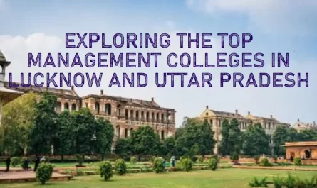 Discover Top Management Colleges