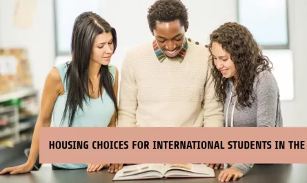 Housing Choices for International Students in the UK