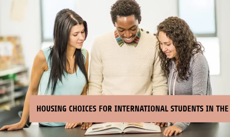 A Comprehensive Look at Housing Choices for International Students in the UK