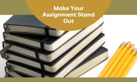 Make Your Assignment Stand Out