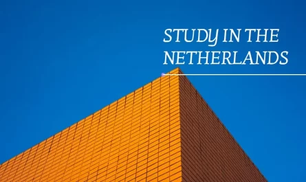 Study in Netherlands