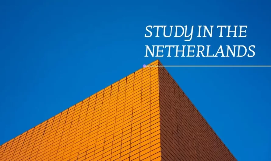 Study in Netherlands: Popular Student Cities in 2024