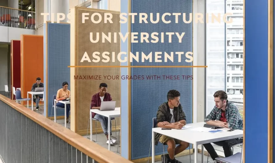 5 Tips to Structure a University Assignment