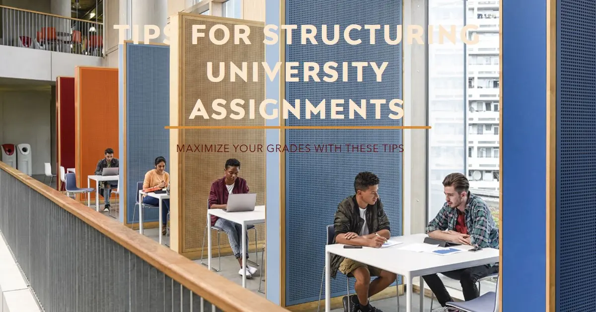 Tips to Structure a University Assignment