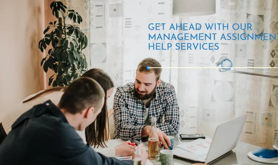 Strategic Solutions: Management Assignment Help Services for Success