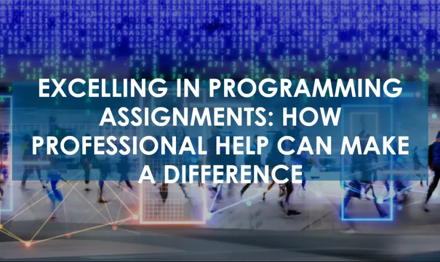 Excelling in Programming Assignments: How Professional Help Can Make a Difference